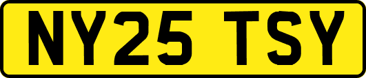 NY25TSY