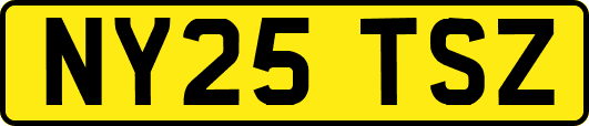 NY25TSZ