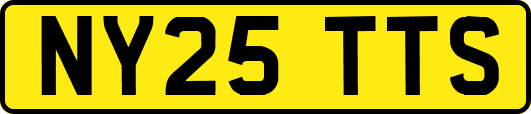 NY25TTS