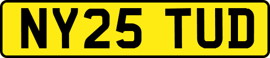 NY25TUD