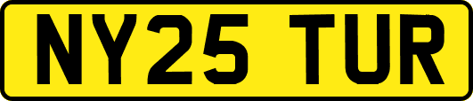 NY25TUR