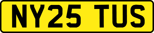 NY25TUS