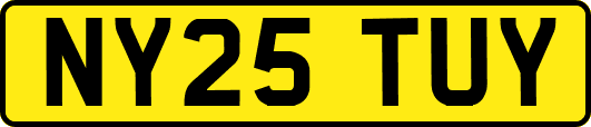 NY25TUY