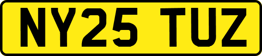 NY25TUZ