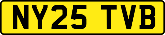 NY25TVB