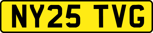 NY25TVG