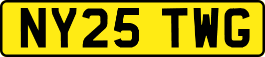 NY25TWG