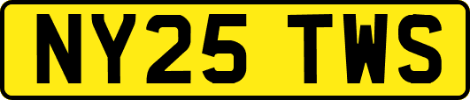 NY25TWS