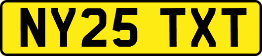 NY25TXT