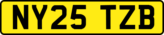 NY25TZB