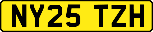 NY25TZH