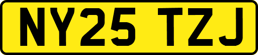 NY25TZJ
