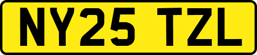 NY25TZL