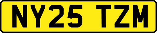 NY25TZM