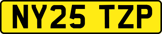 NY25TZP