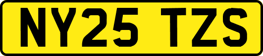 NY25TZS