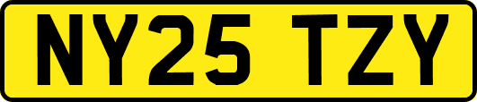 NY25TZY