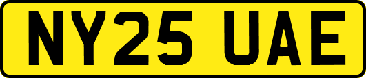 NY25UAE