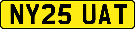 NY25UAT