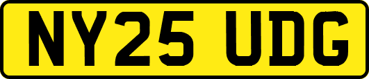 NY25UDG