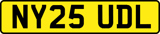NY25UDL