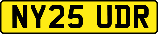 NY25UDR