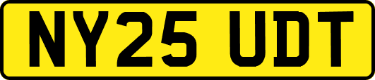 NY25UDT