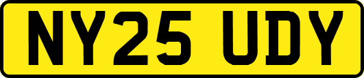 NY25UDY