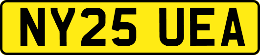 NY25UEA