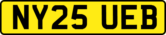 NY25UEB