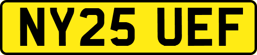 NY25UEF