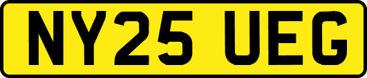 NY25UEG