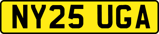 NY25UGA