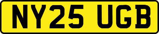 NY25UGB