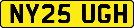 NY25UGH