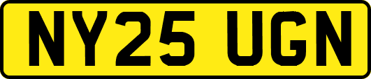 NY25UGN