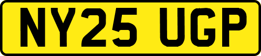 NY25UGP