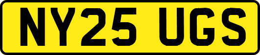 NY25UGS