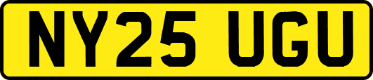 NY25UGU