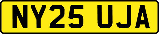 NY25UJA