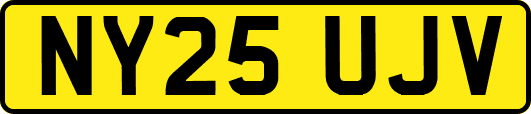 NY25UJV