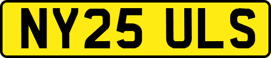 NY25ULS