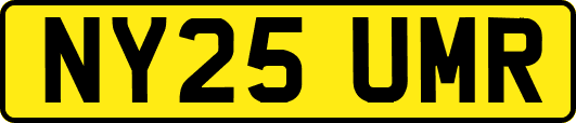 NY25UMR