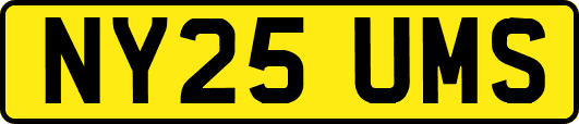 NY25UMS