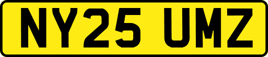 NY25UMZ