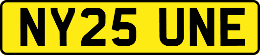NY25UNE