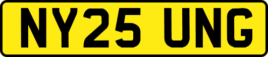 NY25UNG