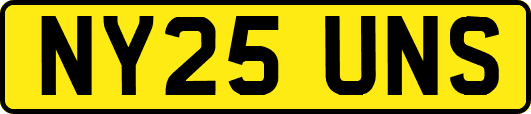NY25UNS