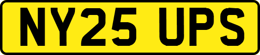 NY25UPS