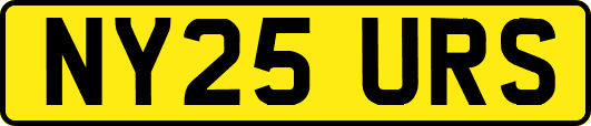 NY25URS
